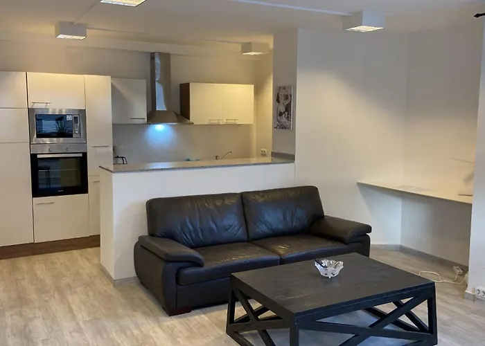 Neu Renovierte Whg Naehe Wasserbahnhof Und Krankenhaus Mit Aufzug Grosse Kueche Apartman